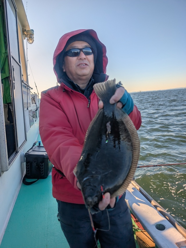 カレイ(マコガレイ)