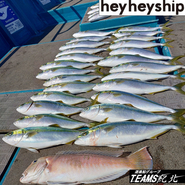 ハマチ(ブリ)・シロアマダイ