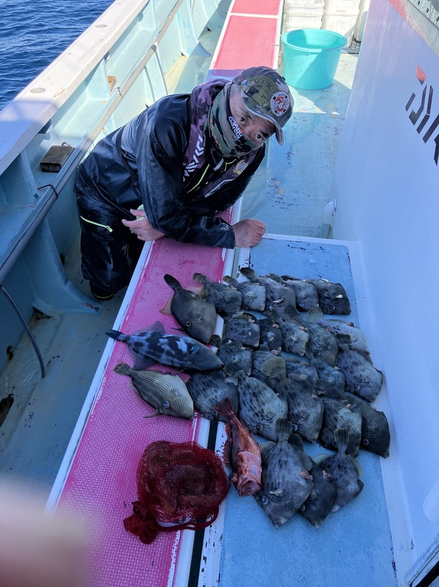 カワハギ・ウマヅラハギ