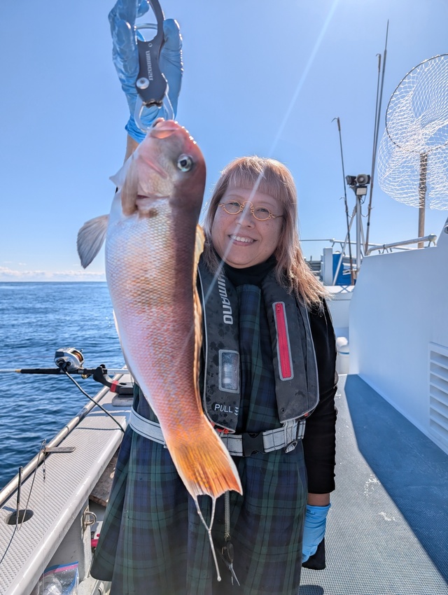 アマダイ(アカアマダイ)