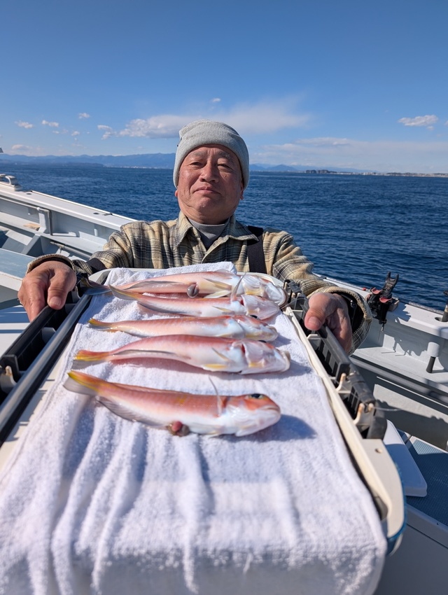 アマダイ(アカアマダイ)