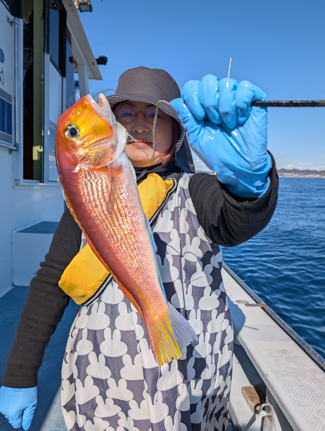 アマダイ(アカアマダイ)