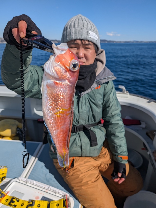 アマダイ(アカアマダイ)