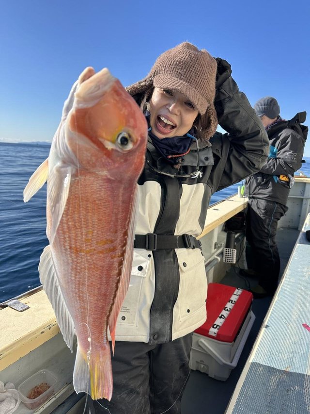 アマダイ(アカアマダイ)