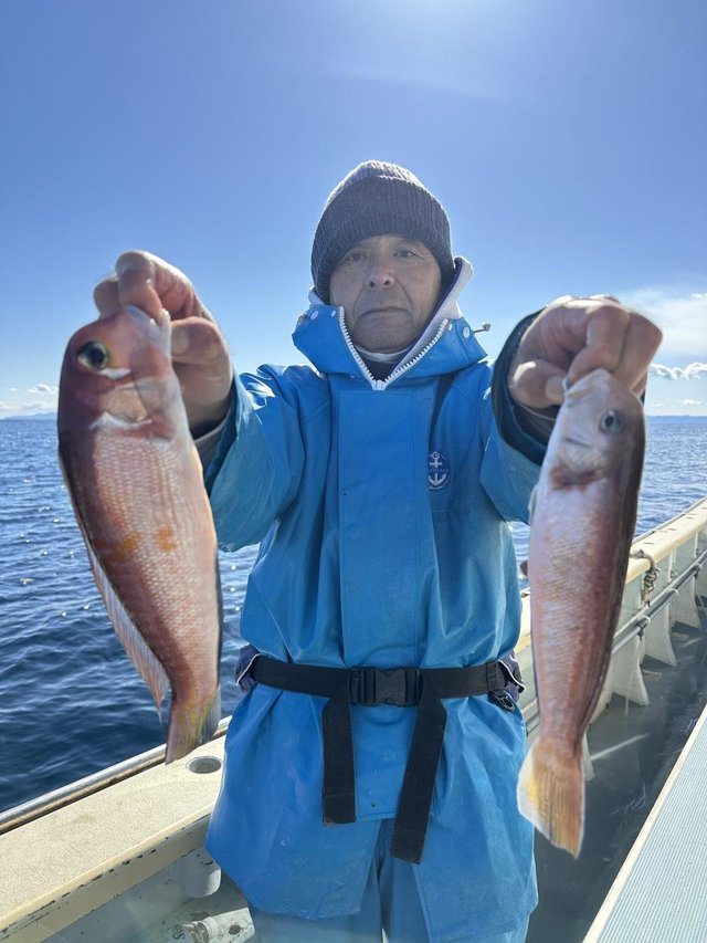 アマダイ(アカアマダイ)・シロアマダイ