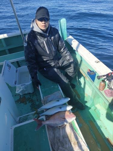 マダイ・イナダ(ブリ)