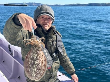 スミイカ(コウイカ)