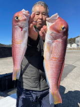 アマダイ(アカアマダイ)