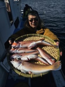 アマダイ(アカアマダイ)