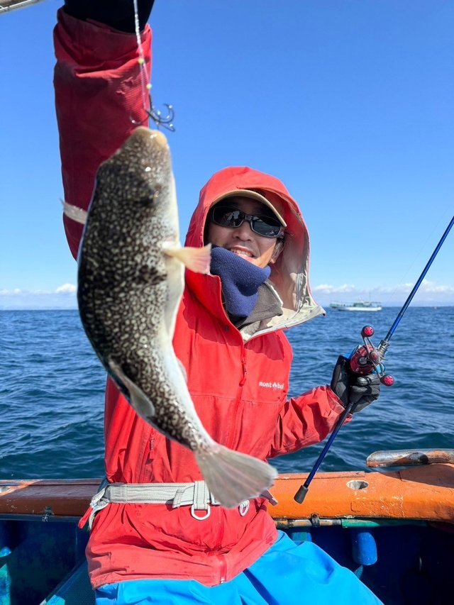 フグ(ショウサイフグ)