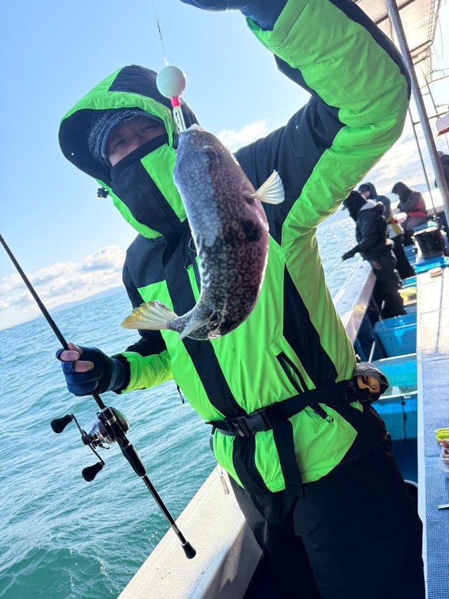 フグ(ショウサイフグ)