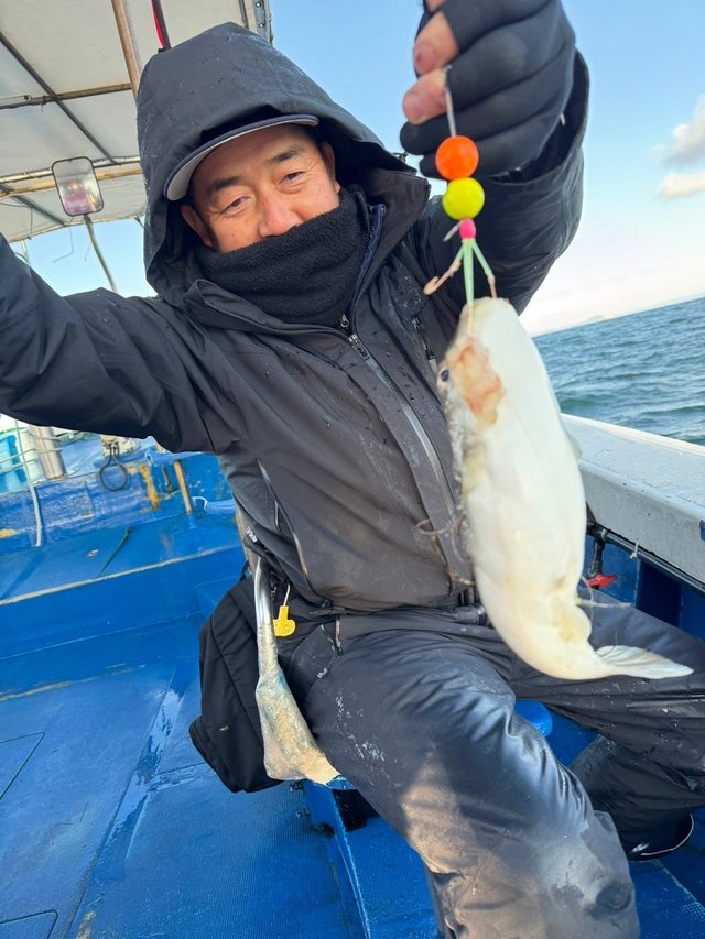 フグ(ショウサイフグ)