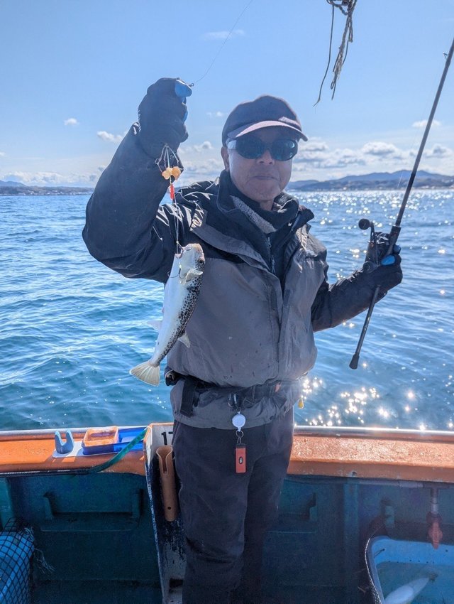 フグ(ショウサイフグ)