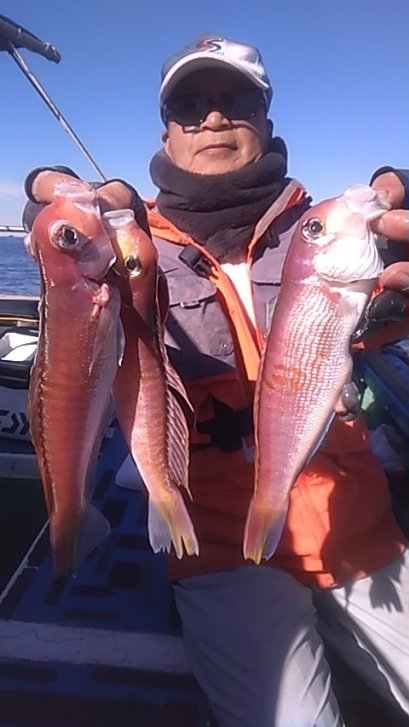 アマダイ(アカアマダイ)