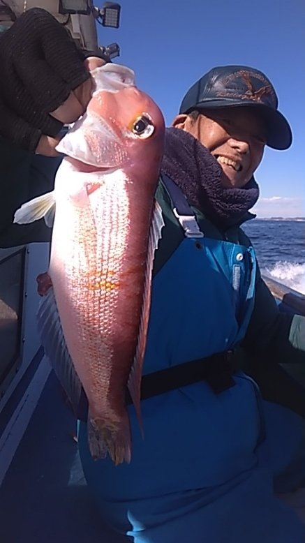 アマダイ(アカアマダイ)