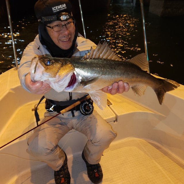 シーバス(スズキ)