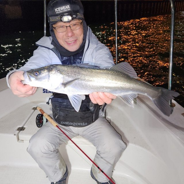 シーバス(スズキ)