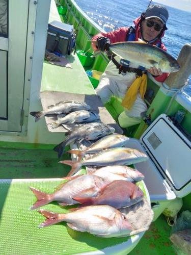 マダイ・クロダイ・ワラサ(ブリ)・カンパチ・イサキ