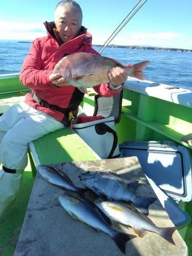 マダイ・クロダイ・イサキ