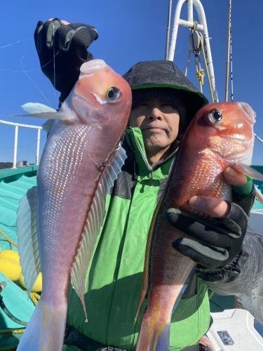 アマダイ(アカアマダイ)