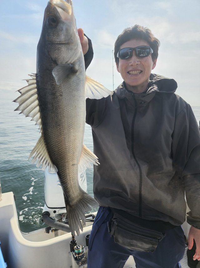 シーバス(スズキ)