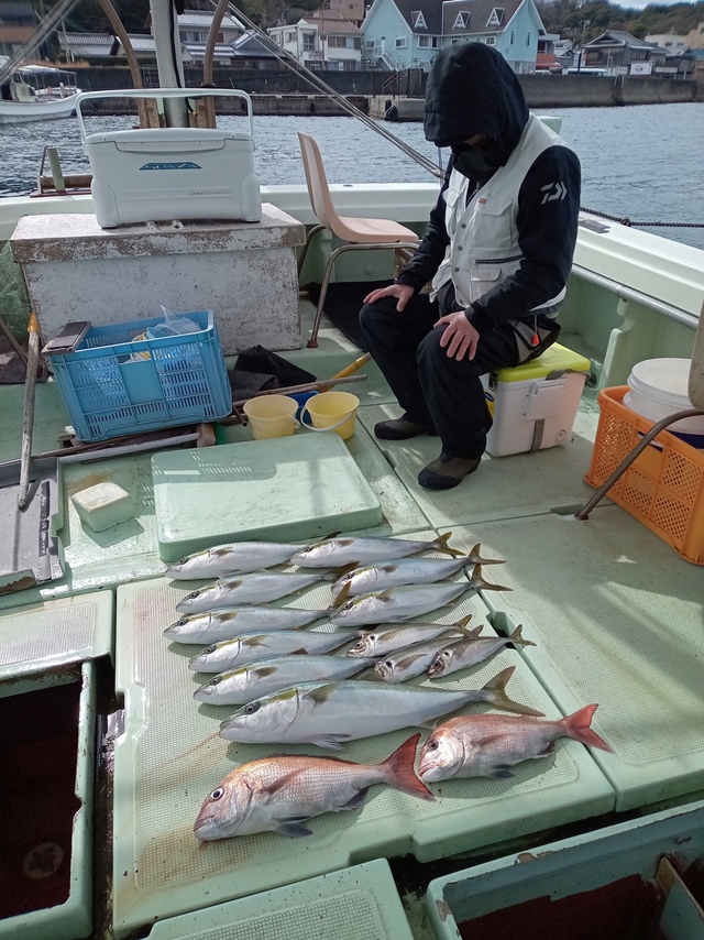 マダイ・マアジ・ハマチ(ブリ)・メジロ(ブリ)