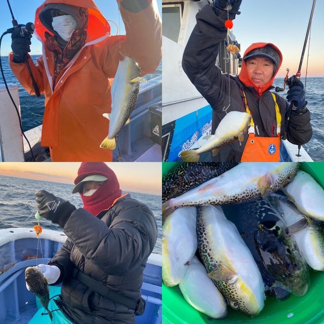 ショウサイフグ