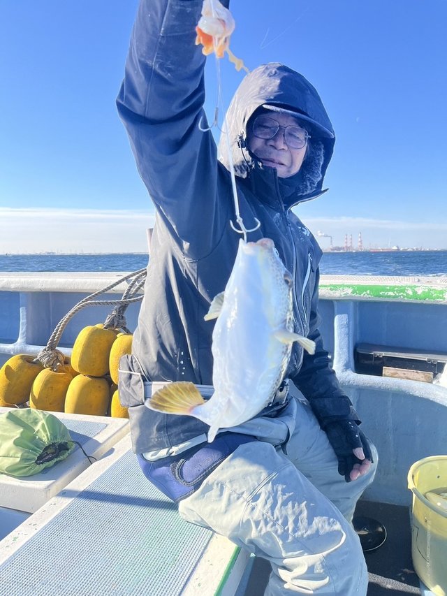 ショウサイフグ