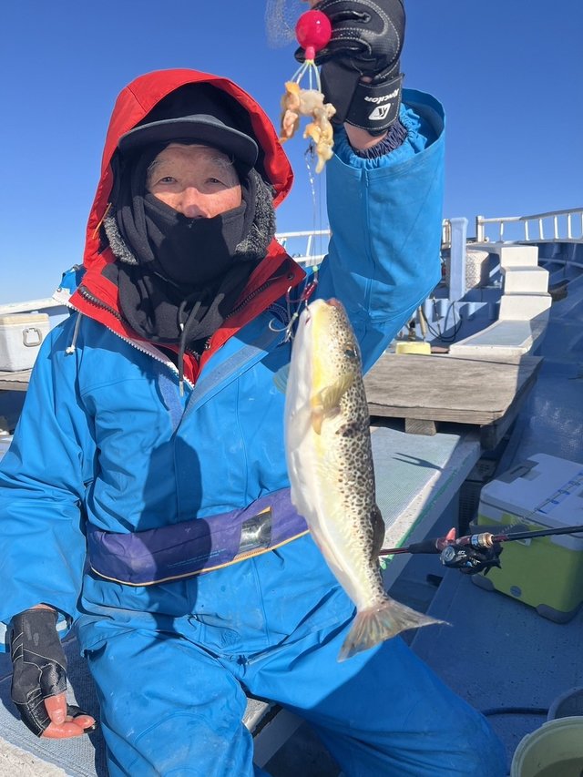 ショウサイフグ