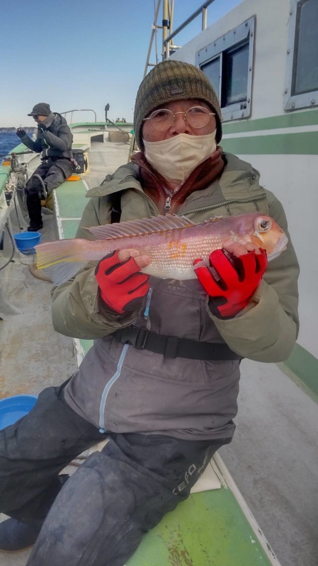 アマダイ(アカアマダイ)