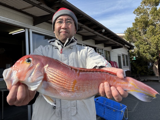 アマダイ(アカアマダイ)