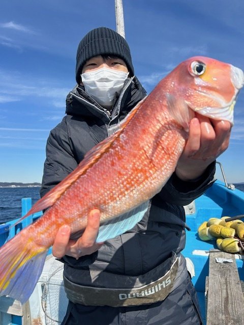 アマダイ(アカアマダイ)