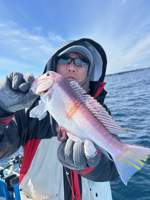 アマダイ(アカアマダイ)