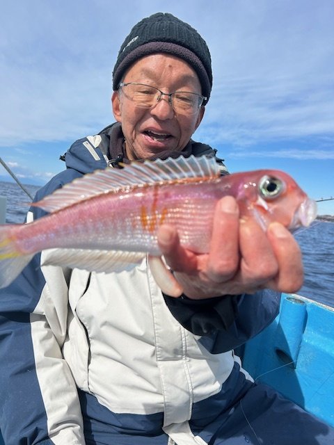 アマダイ(アカアマダイ)