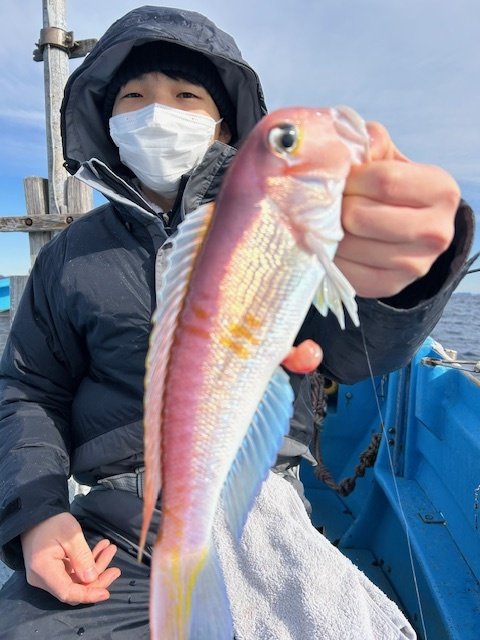 アマダイ(アカアマダイ)