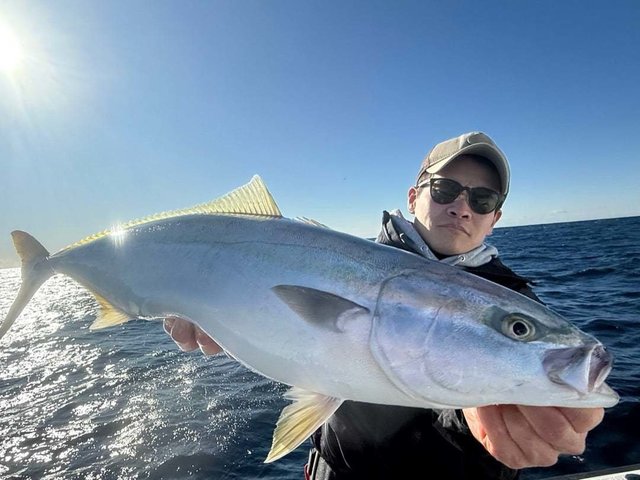 サンパク(ブリ)