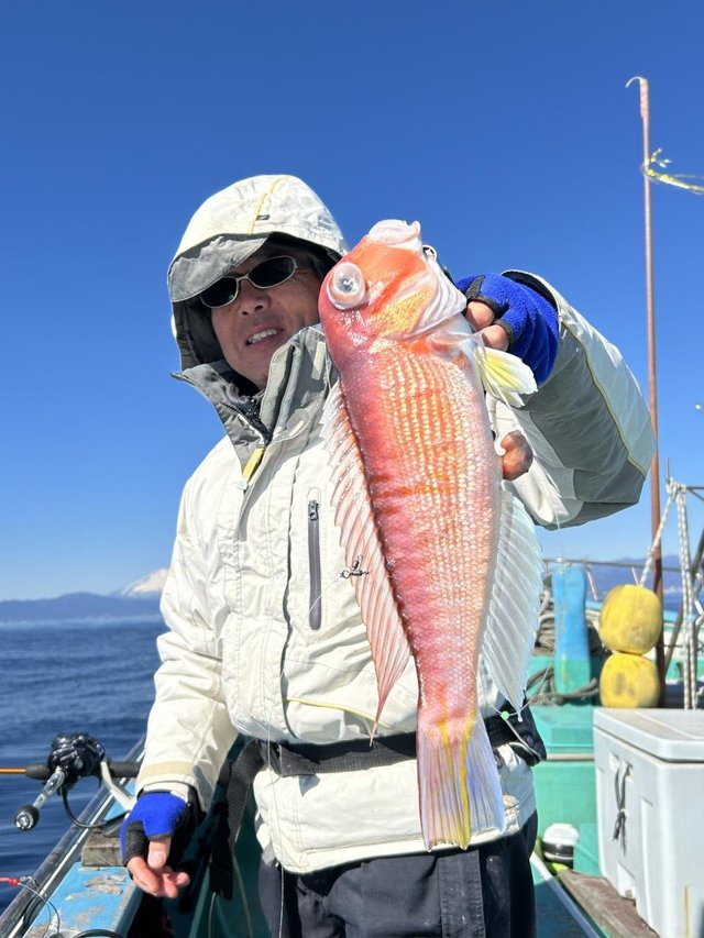 アマダイ(アカアマダイ)