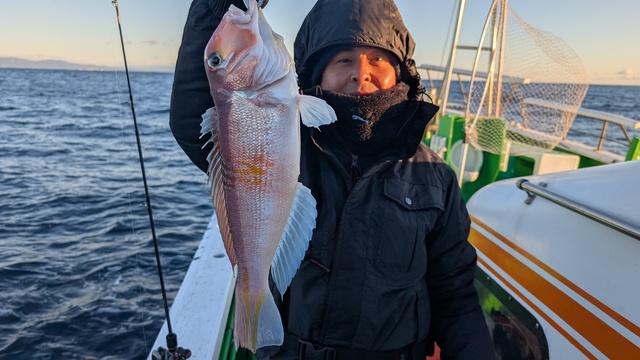 アマダイ(アカアマダイ)