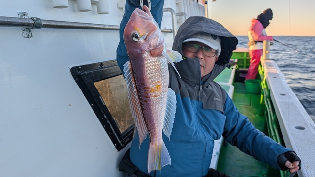 アマダイ(アカアマダイ)