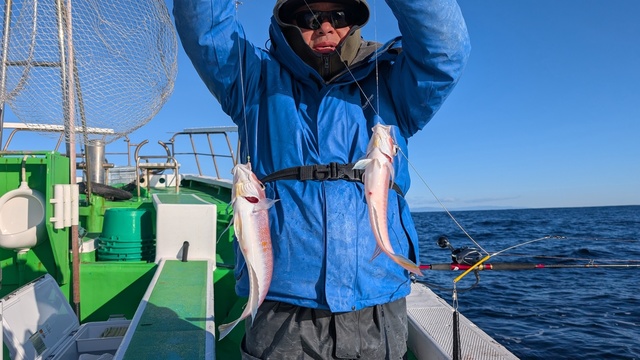 アマダイ(アカアマダイ)