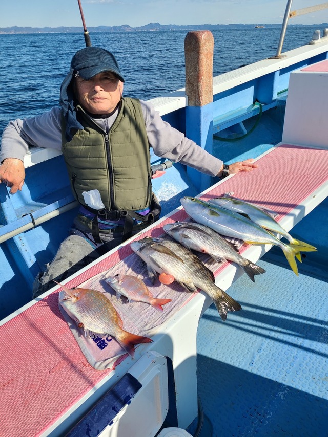 マダイ・クロダイ・イナダ(ブリ)