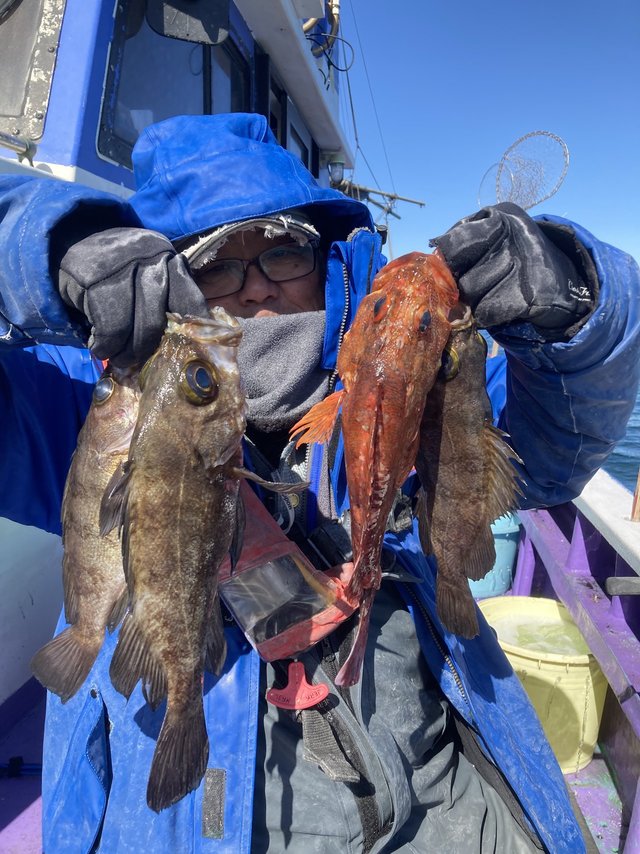 カサゴ・メバル