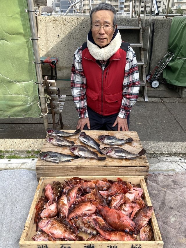 ガシラ(カサゴ)・メバル