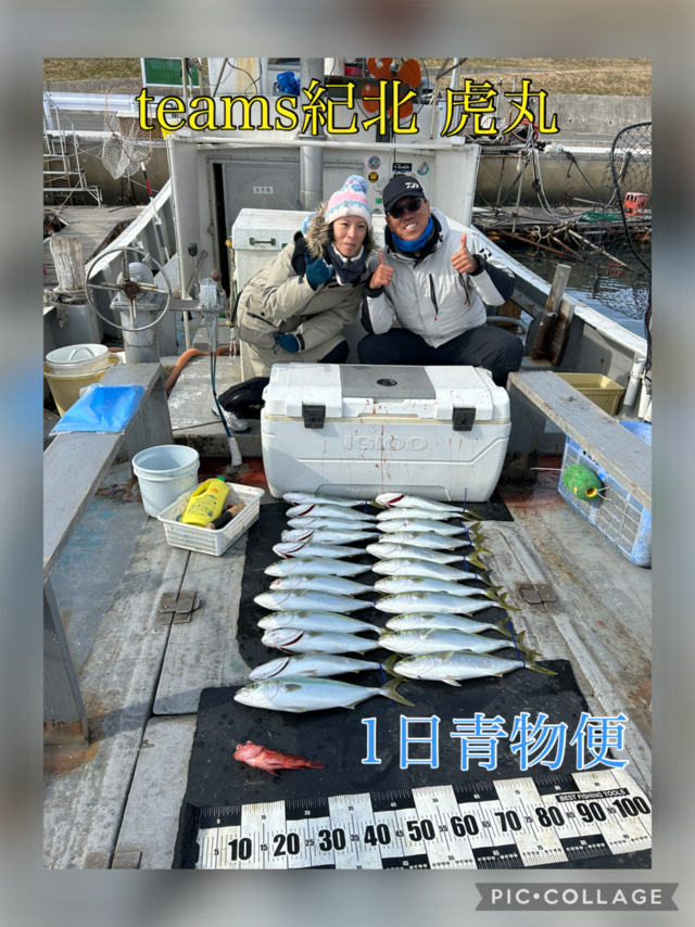 ハマチ(ブリ)・ガシラ(カサゴ)