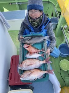 マダイ・ハナダイ(チダイ)・メジナ