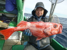 ベニアコウ(オオサガ)