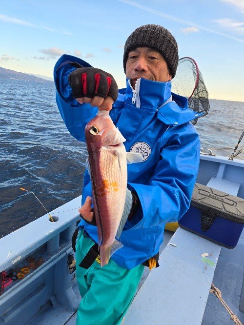 アマダイ(アカアマダイ)