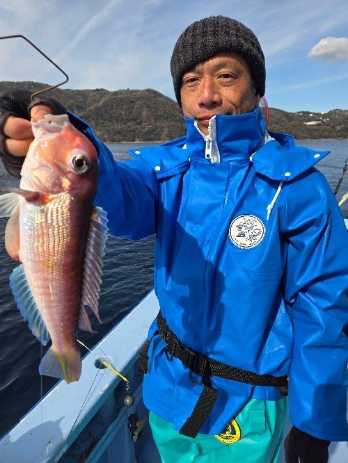 アマダイ(アカアマダイ)