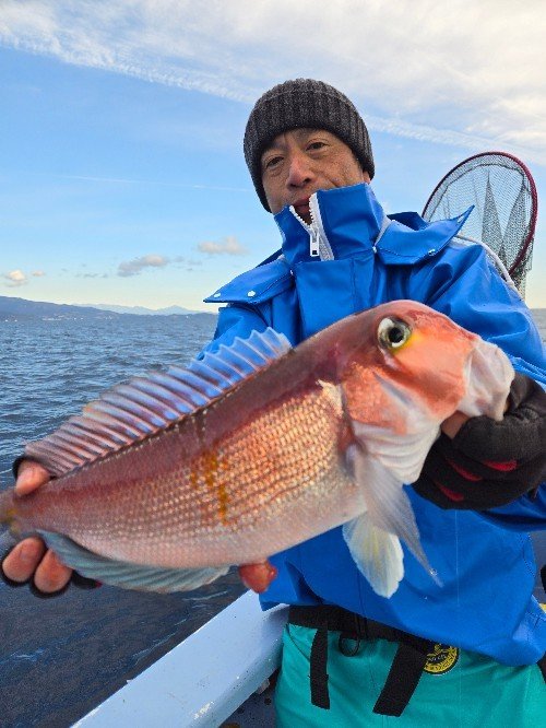 アマダイ(アカアマダイ)