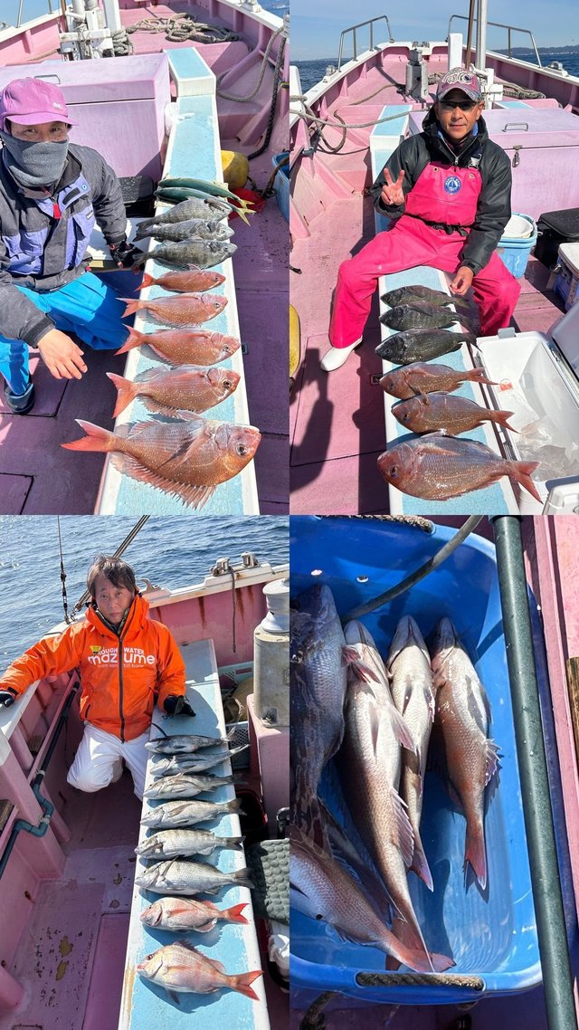 マダイ・クロダイ・イナダ(ブリ)